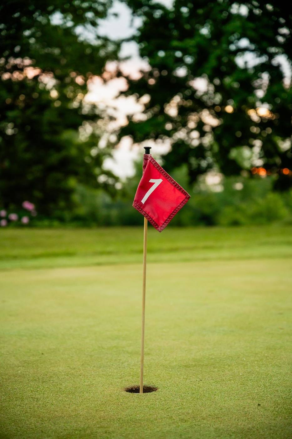 Red flag on a protected green