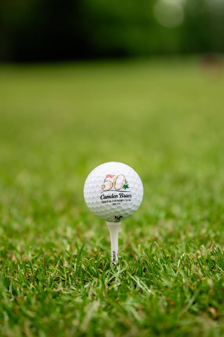 Camden Braes golf ball on a tee
