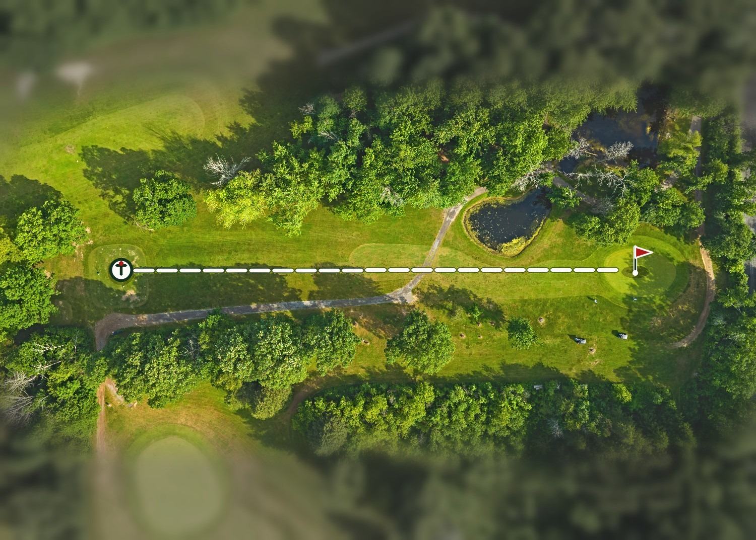 Aerial view of hole 8, Wee Beastie