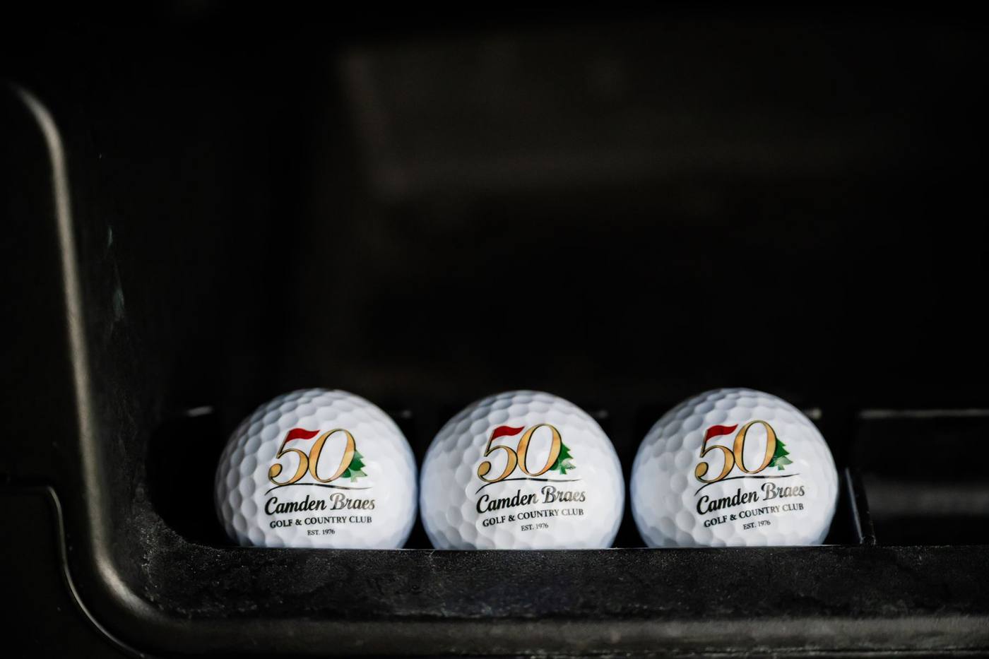 50th anniversary Camden Braes golf balls