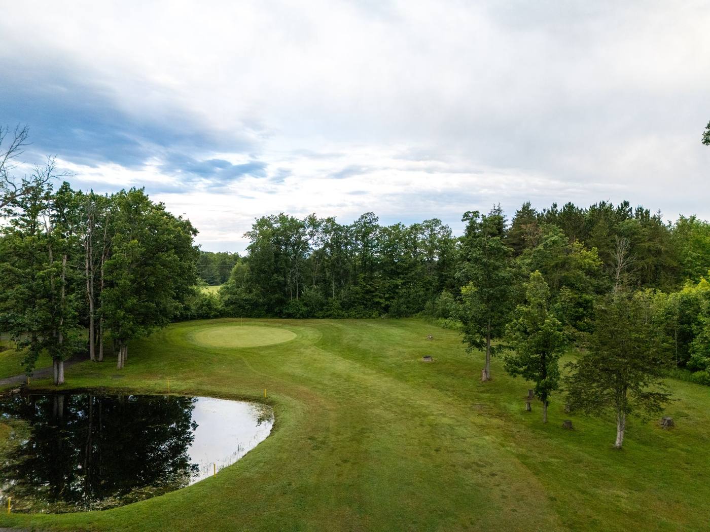 Elevated view over the green and pond
