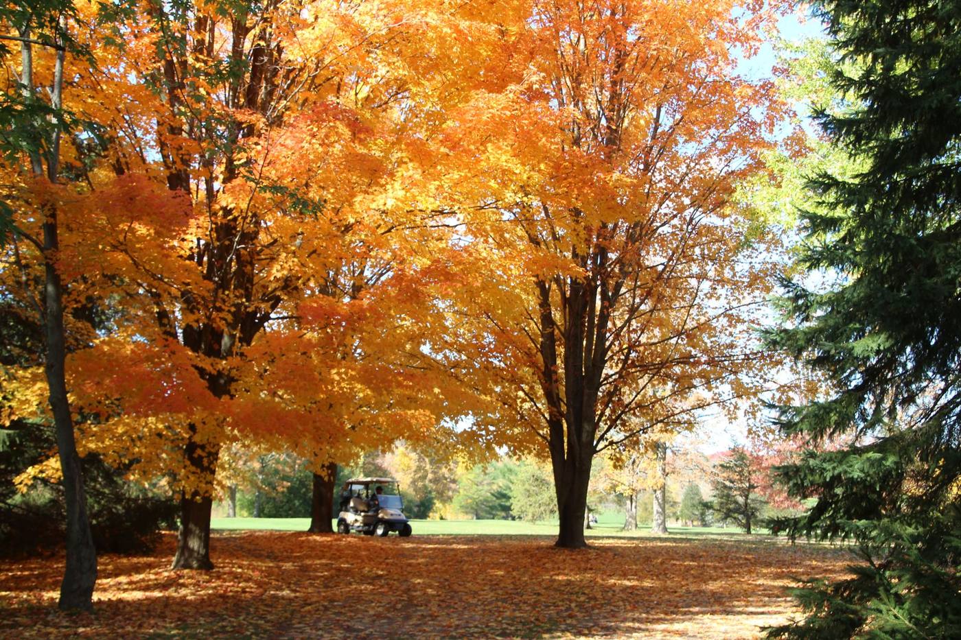 Golfers on the course in full fall colour