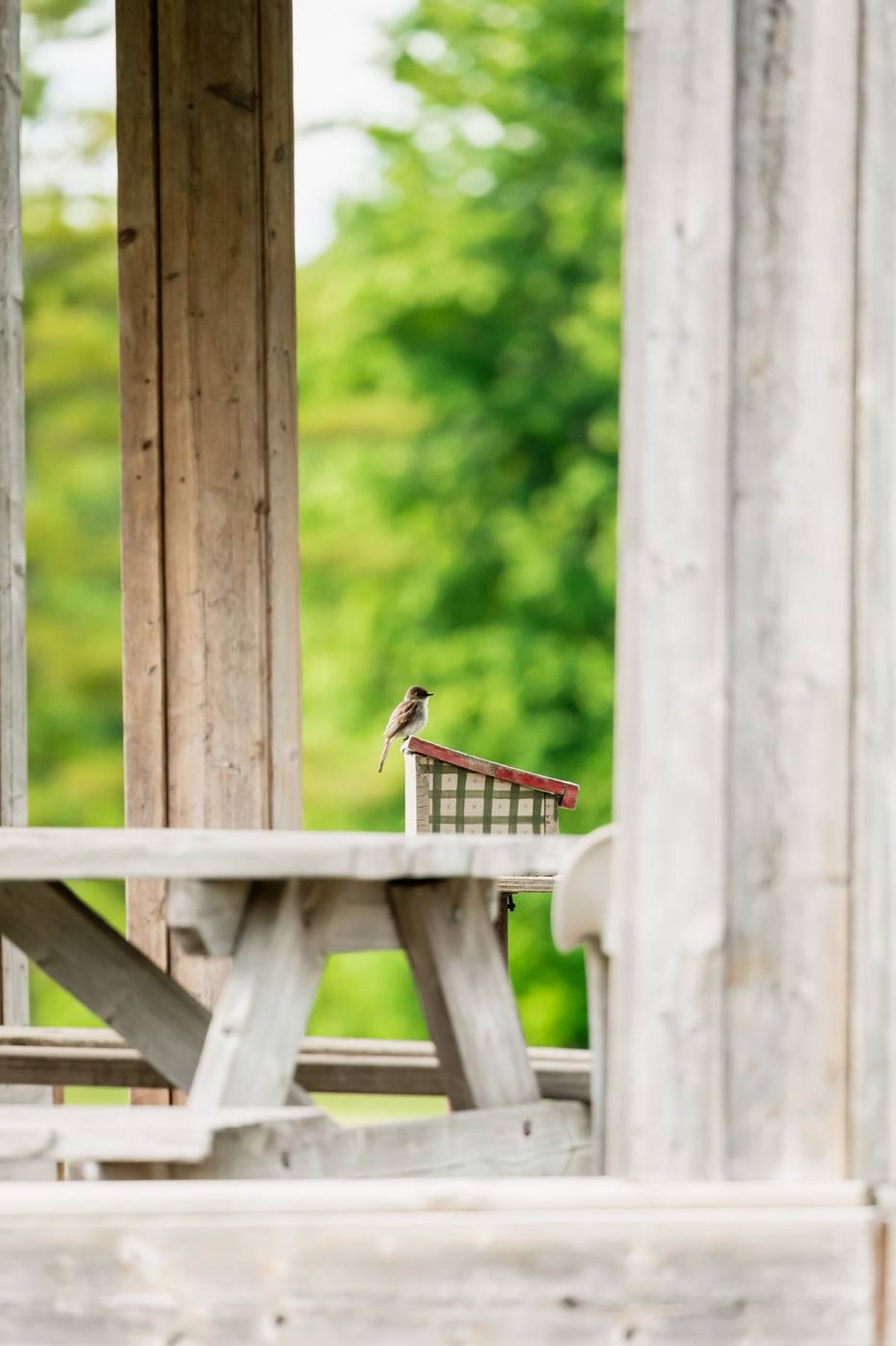 Picnic bench in the on-course shelter