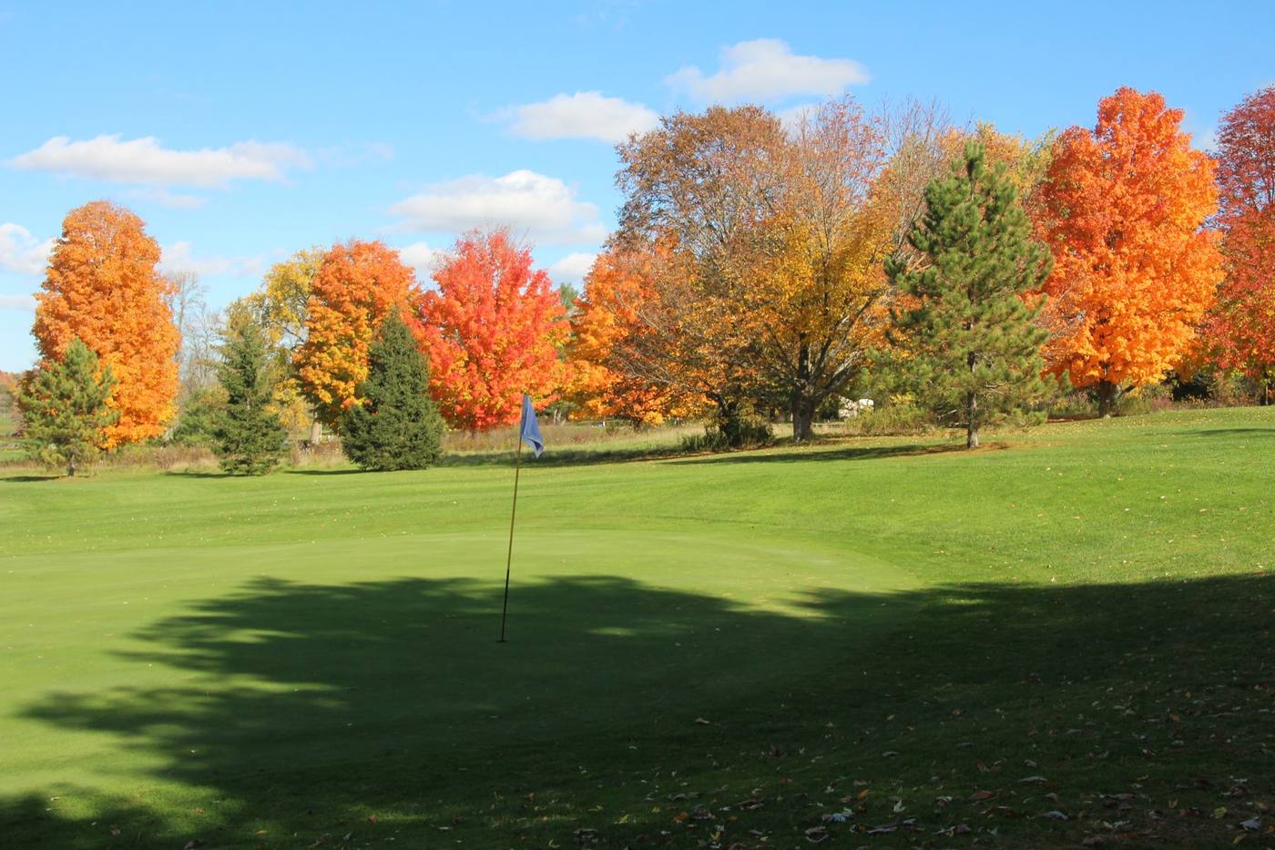 Green surrounded by fall maples