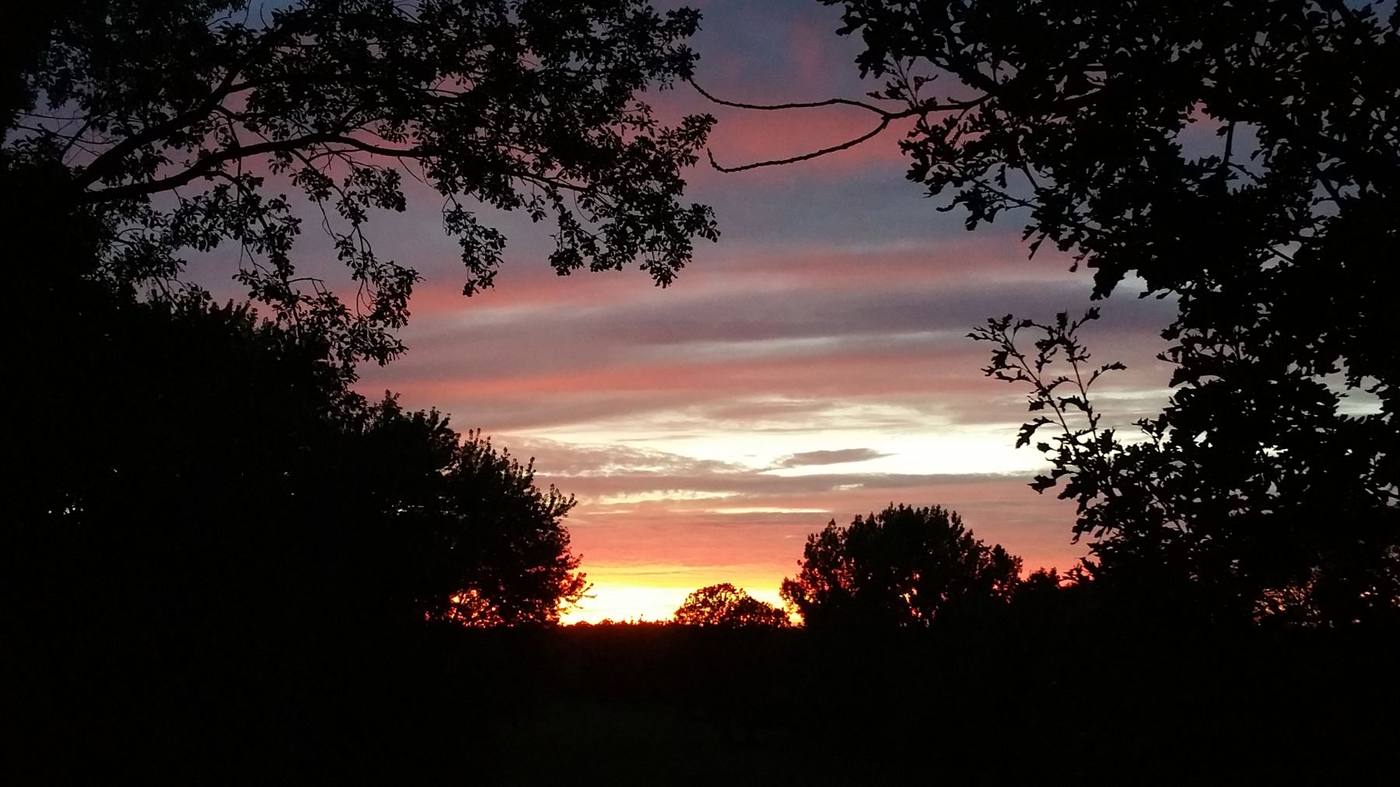 Sunset silhouette over the course