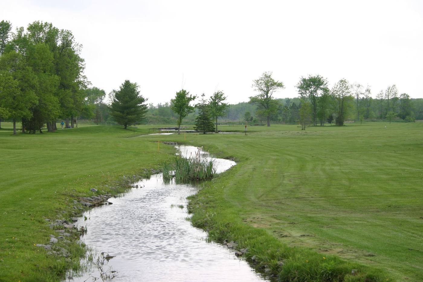The stream winding through the course