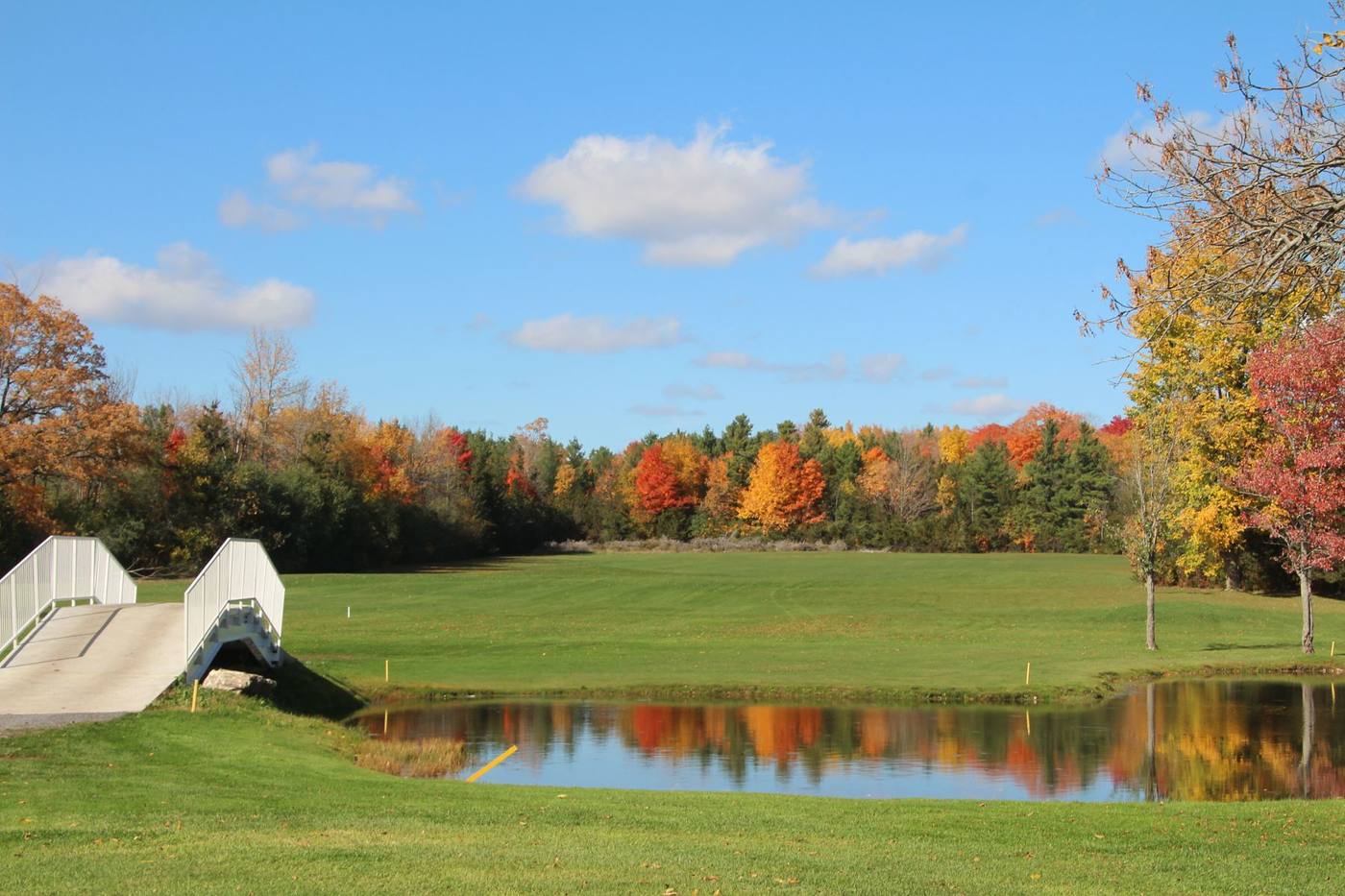 Stone bridge and pond in full fall colour