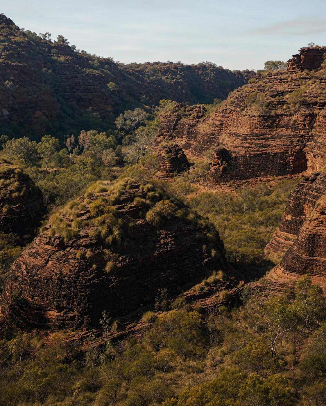 Weathered sandstone escarpment in early light