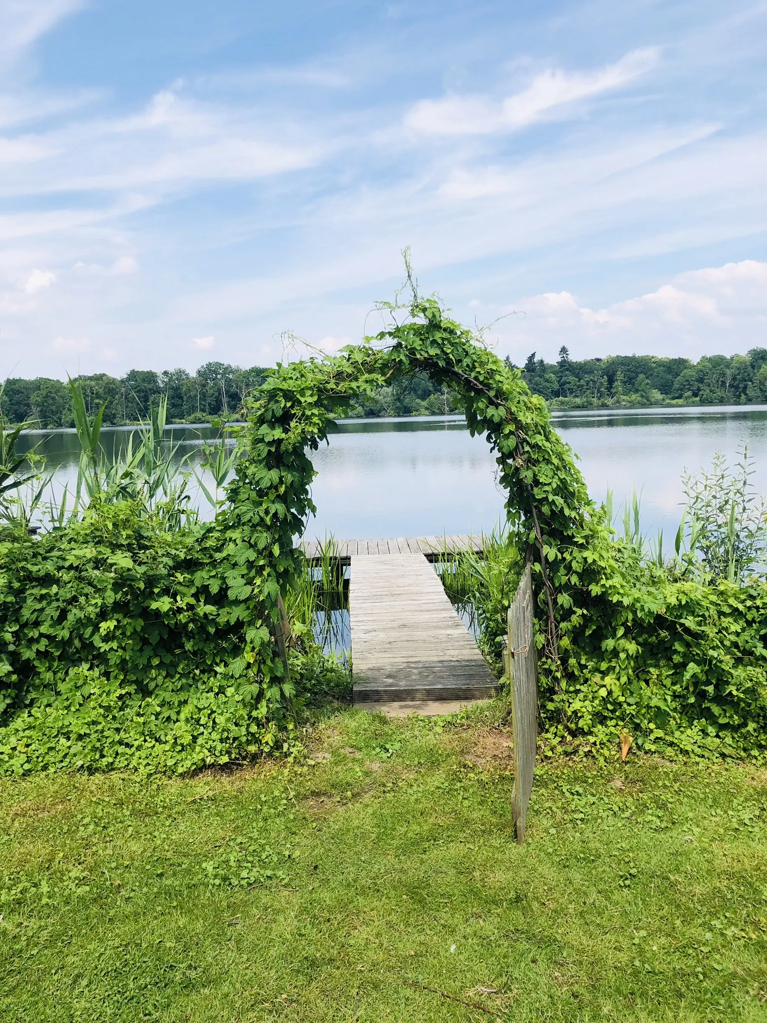 Mit Efeu bewachsener Bogen auf der Seewiese, dahinter der Steg und der See