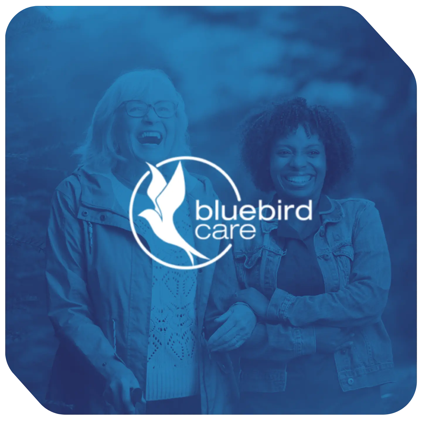 How Bluebird Care’s new digital platform supported franchise growth and added £12m in revenue across the UK