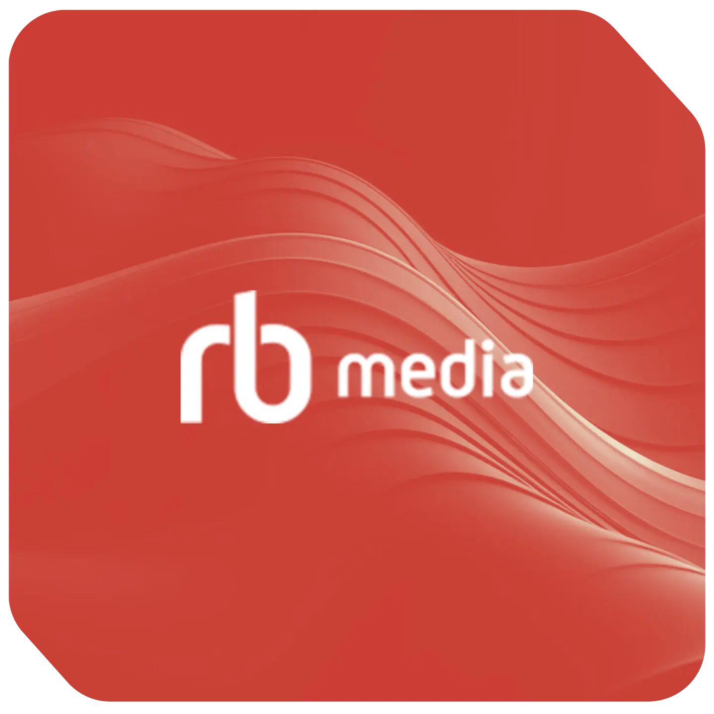 How the world’s largest audiobook publisher increased global sales by 433%