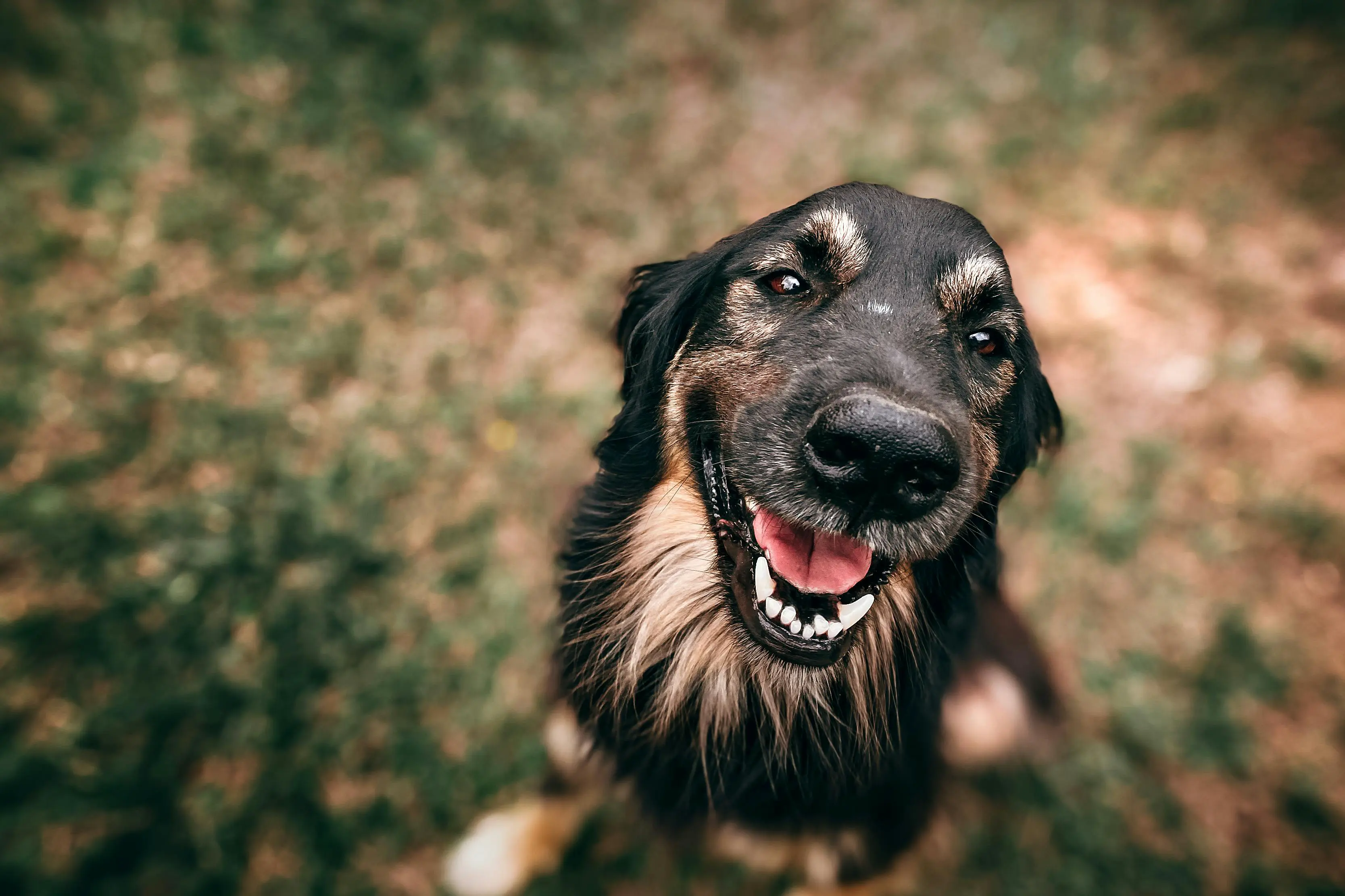 Customer loyalty: strategies for lasting loyalty and repeat business