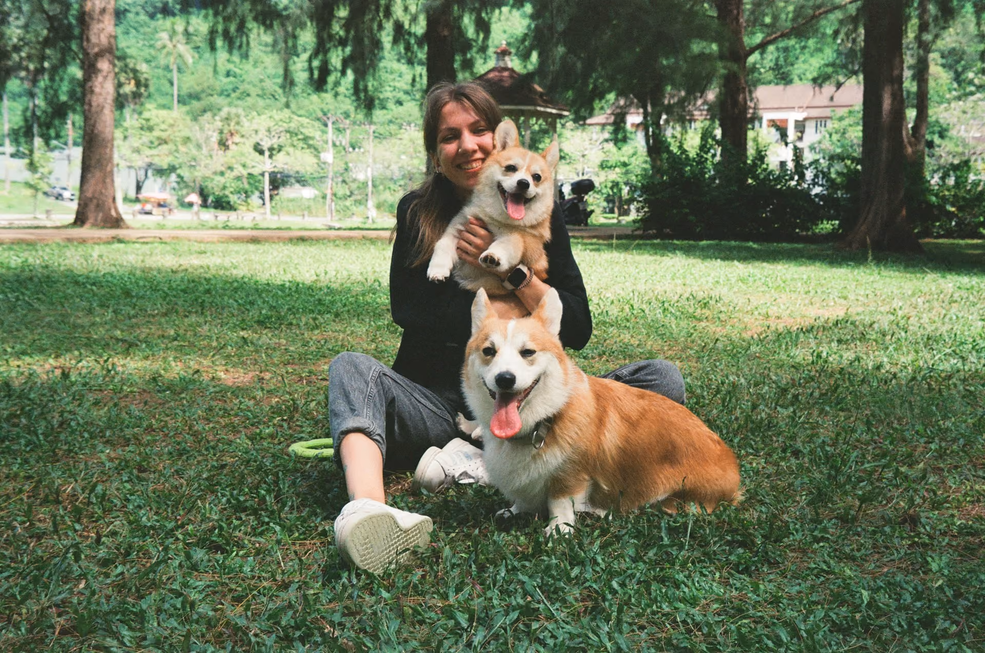 A young woman sitting on a lawn, holding a corgi. Another corgi is on the ground next to her.