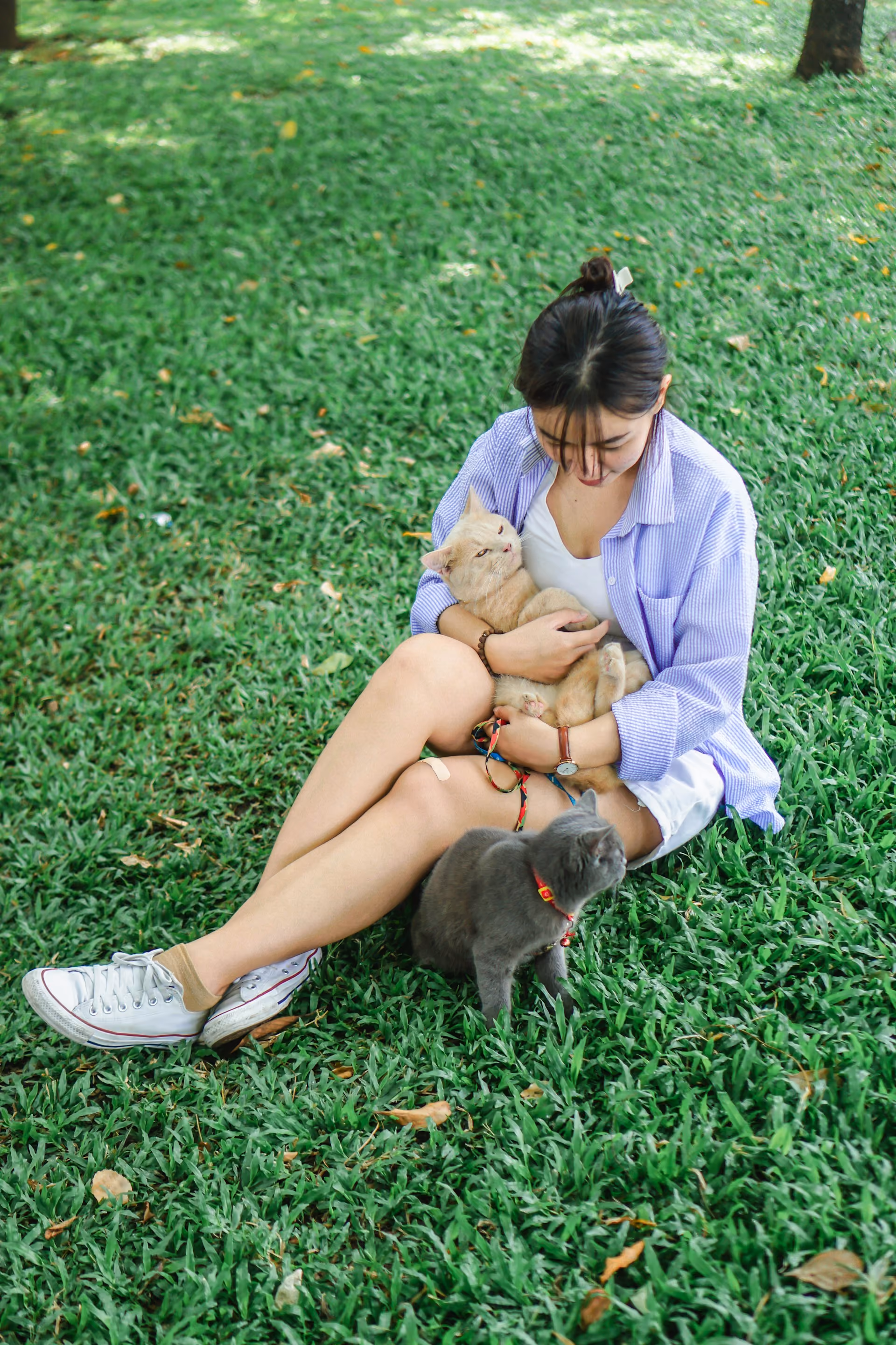 Young woman sitting with her two cats on the lawn. One is gray and sitting on the ground, one is light orange and sitting in her lap.