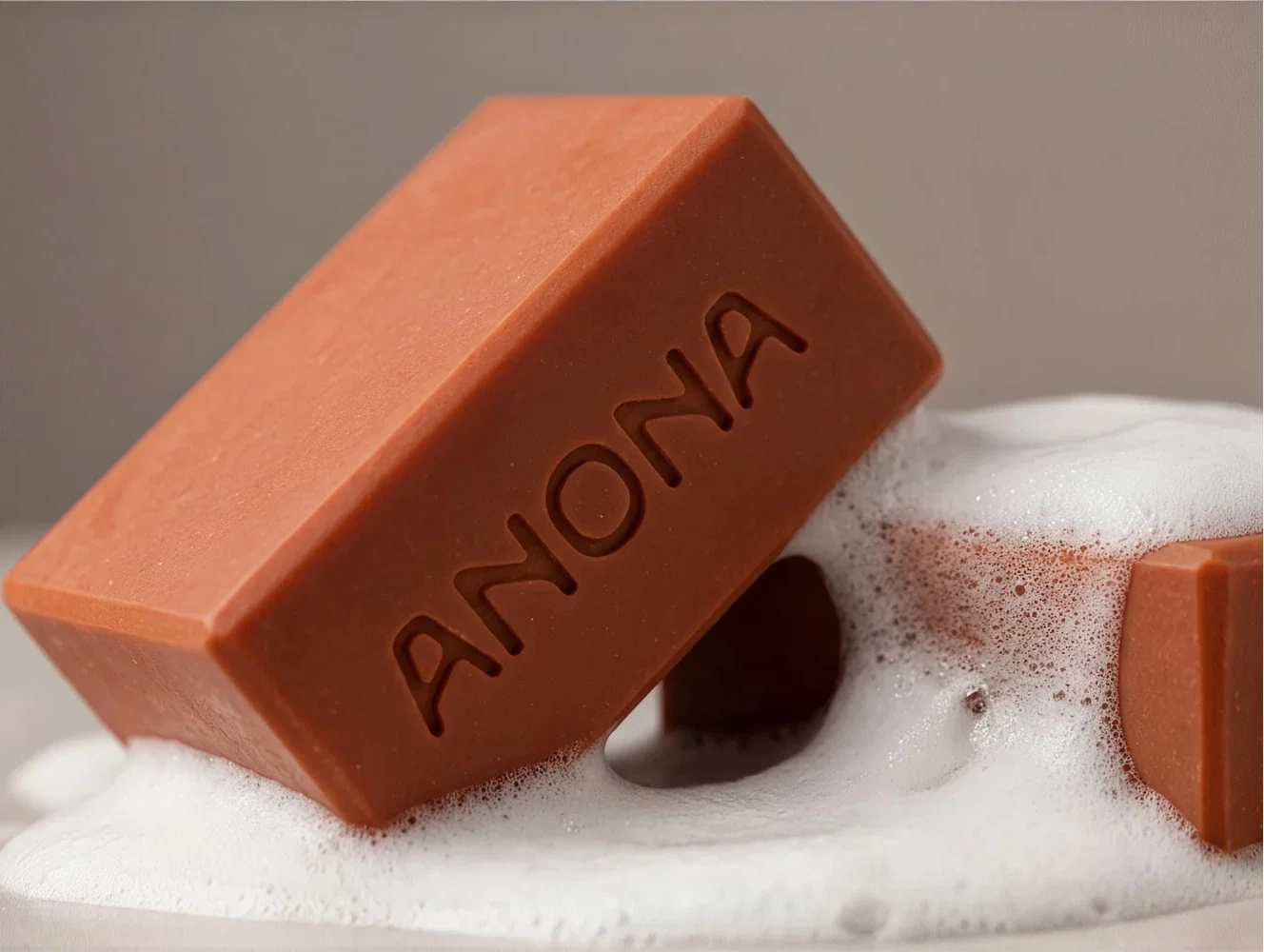 ANONA logo application
