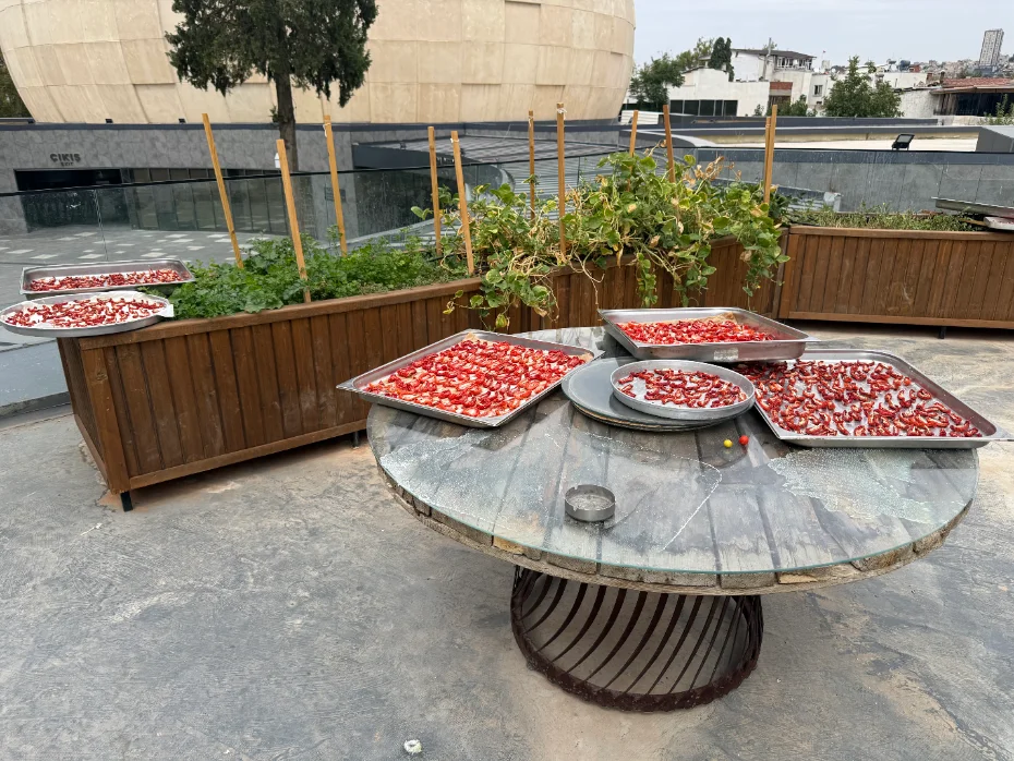 Üst kattaki balkon bahçesi