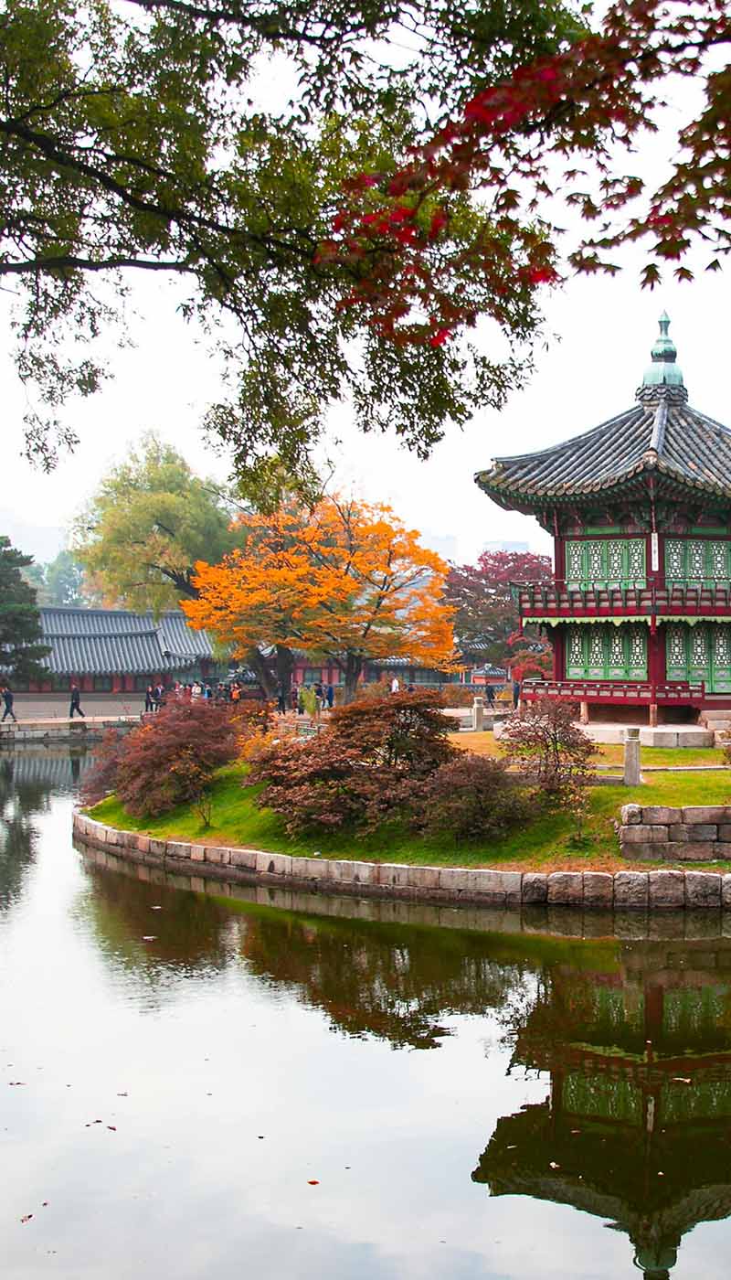 Medical, Public Health & Pharmaceuticals internship in South Korea