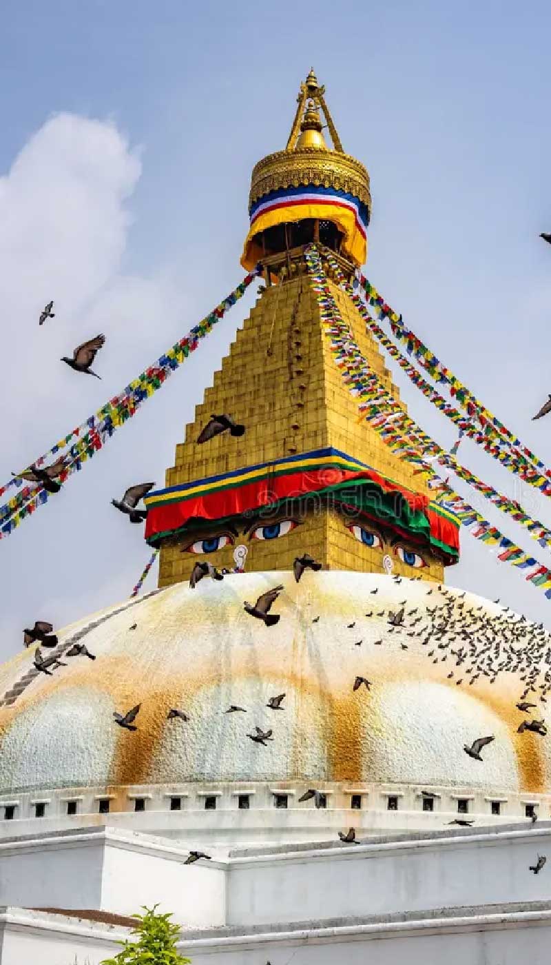 Software Engineering & Development internship in Nepal