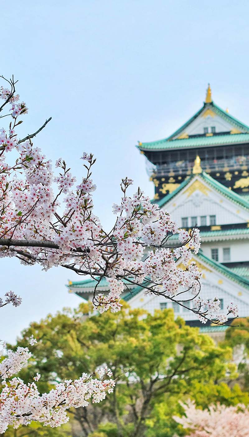 Finance internship in Japan