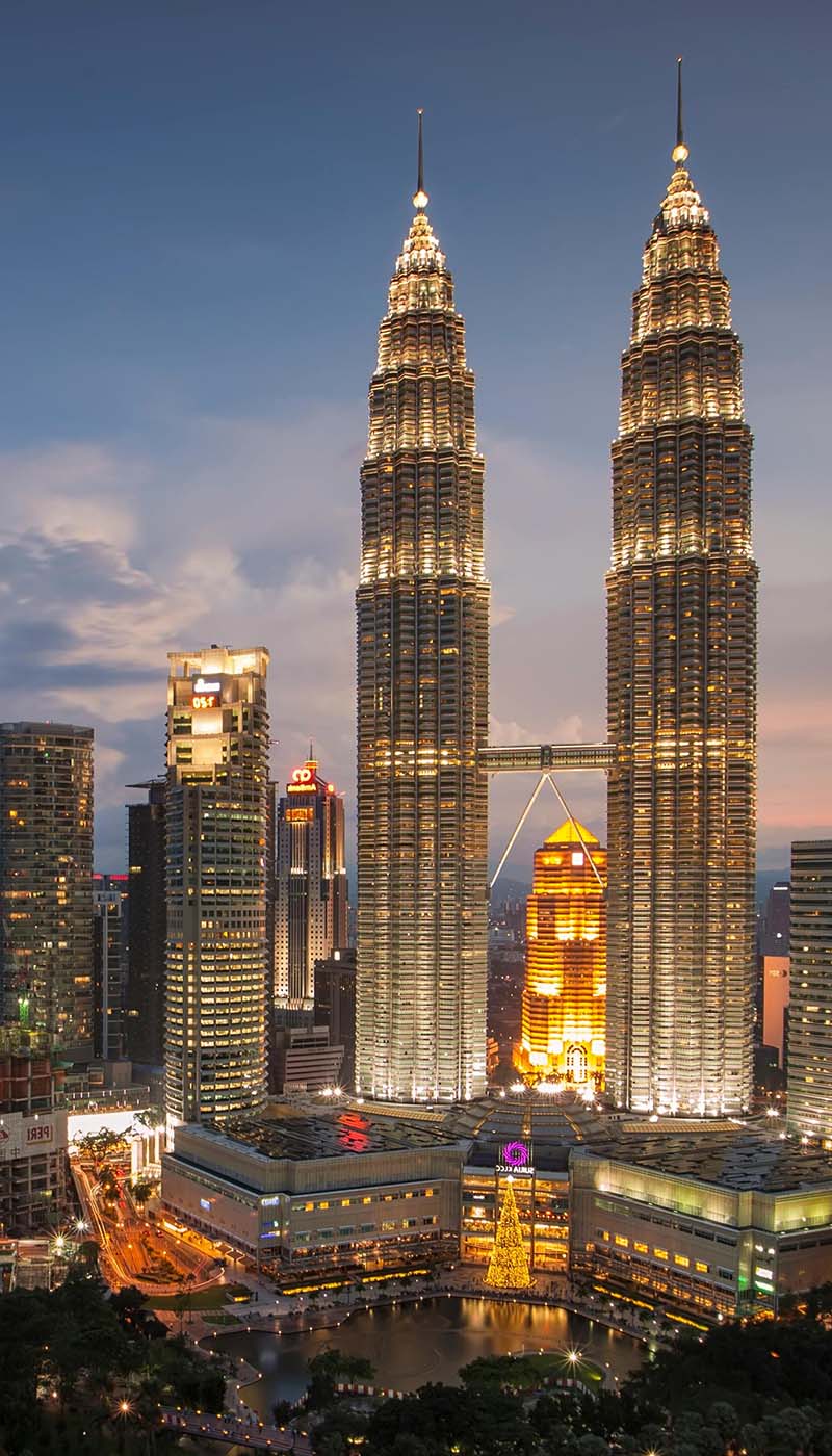 Medical, Public Health & Pharmaceuticals internship in Malaysia