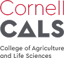 Cornell Cals