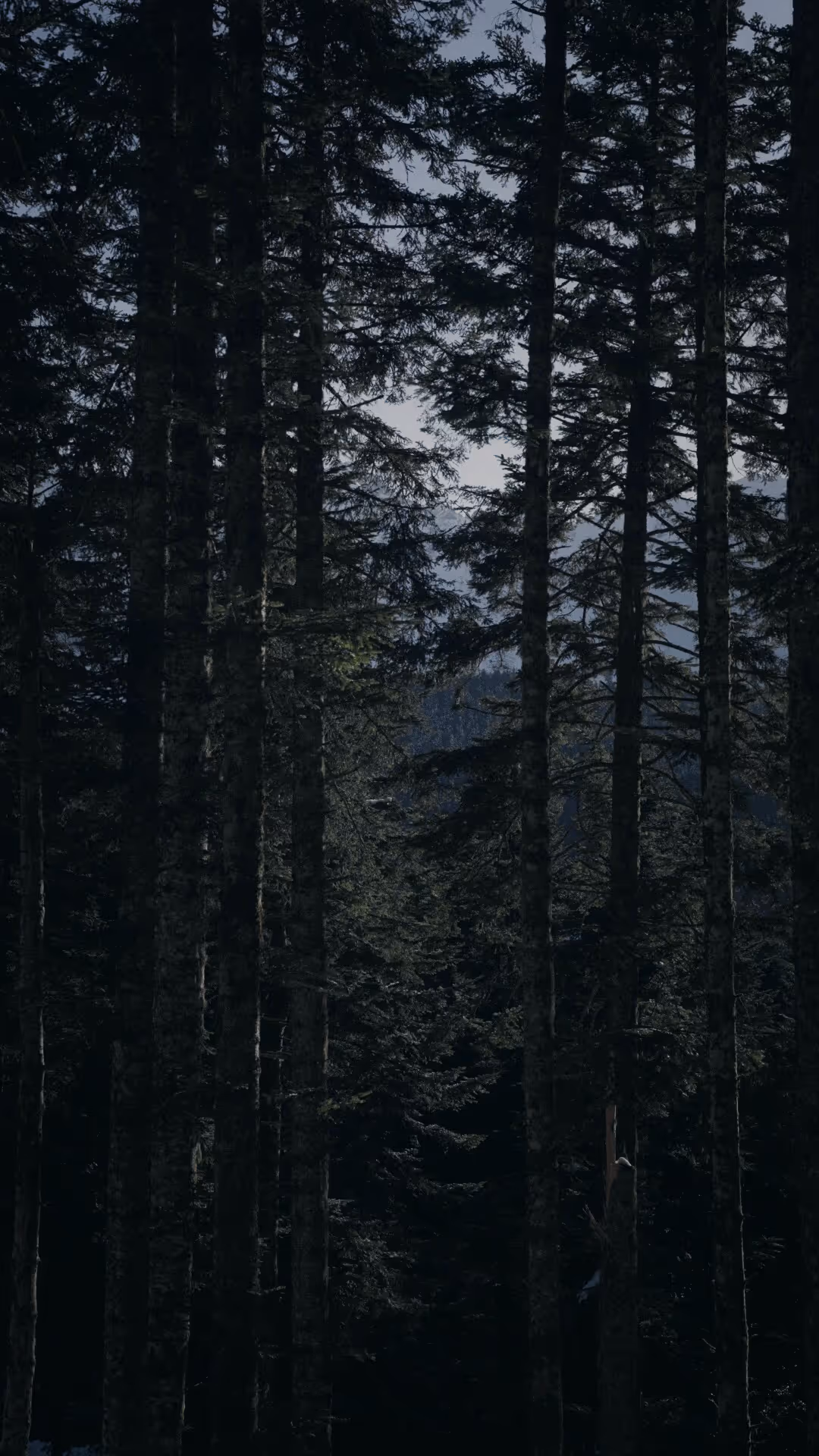 Photograph by Samlands