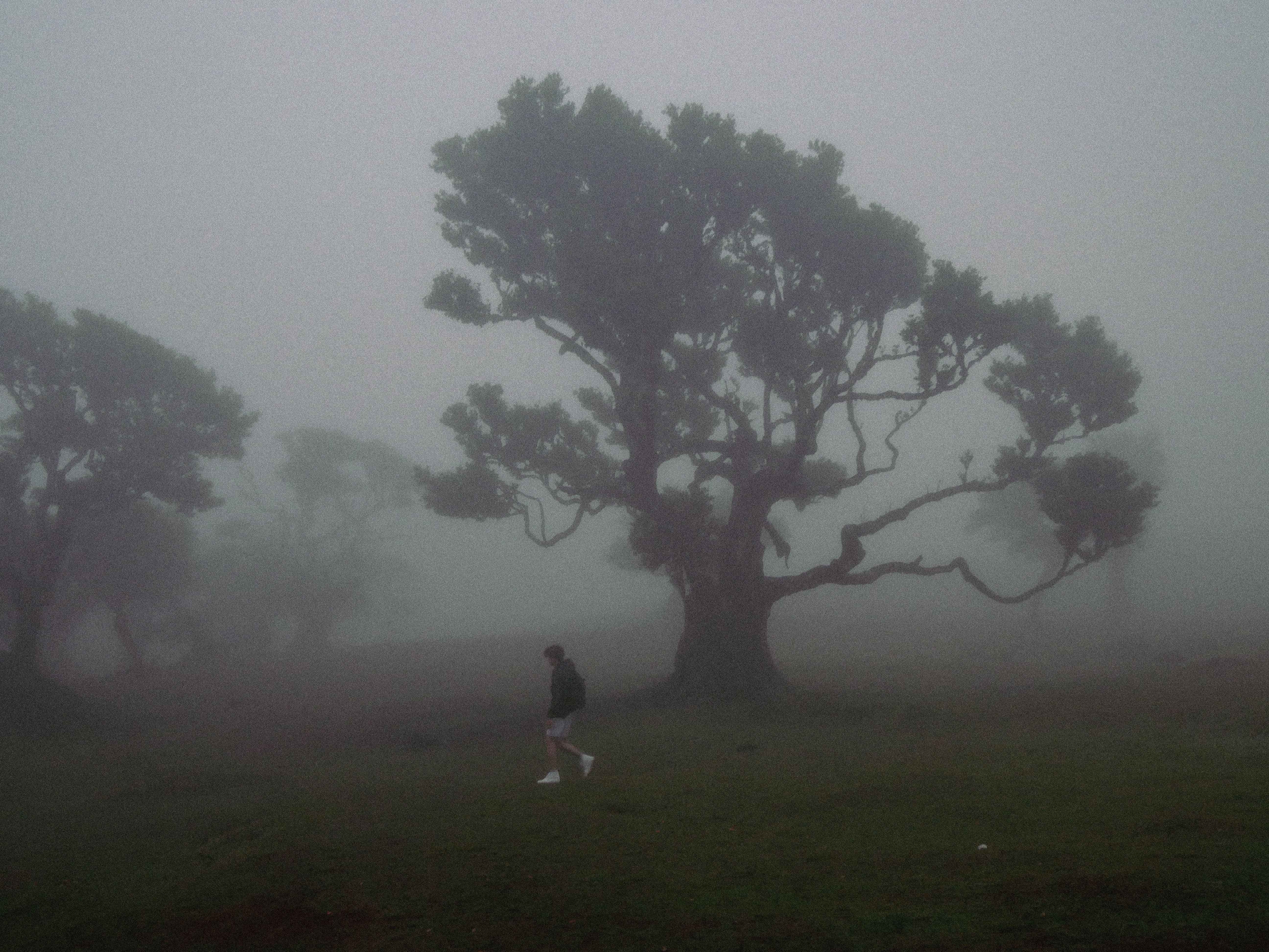 Photograph by Samlands