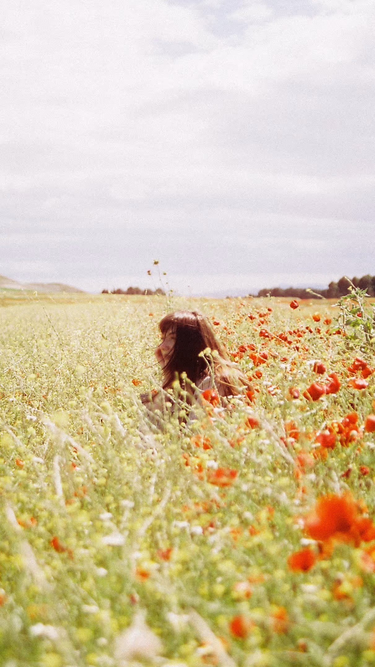 Photograph by Samlands