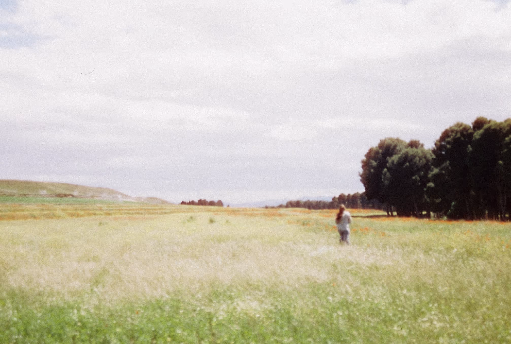 Photograph by Samlands
