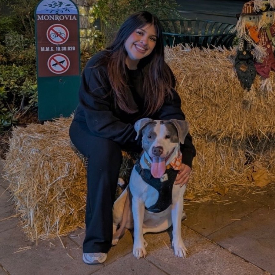 Rachel, Veterinary Team Member at Best Friends Pet Hospital