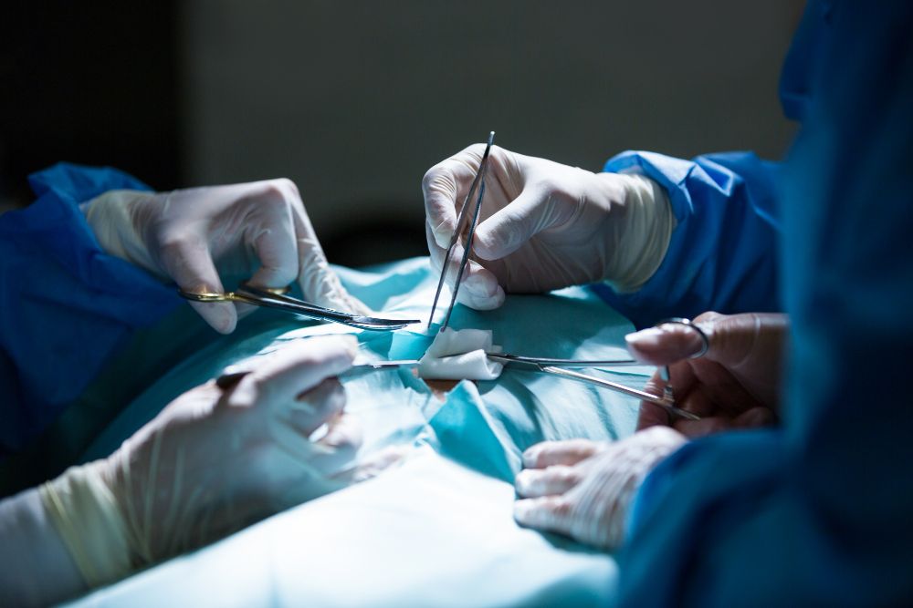 Internal Surgery at Best Friends Pet Hospital in Monrovia, CA