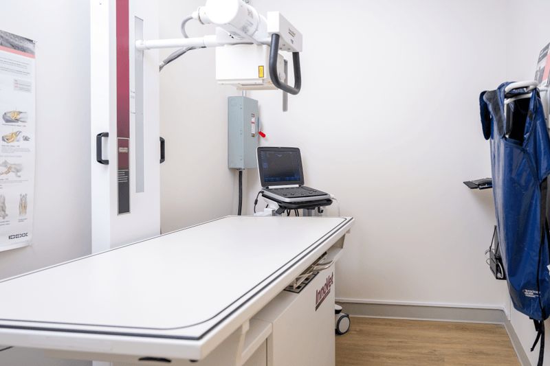 Digital Radiology at Best Friends Pet Hospital in Monrovia, CA