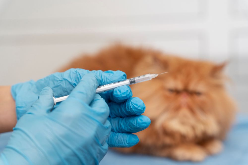 Vaccinations at Best Friends Pet Hospital in Monrovia, CA