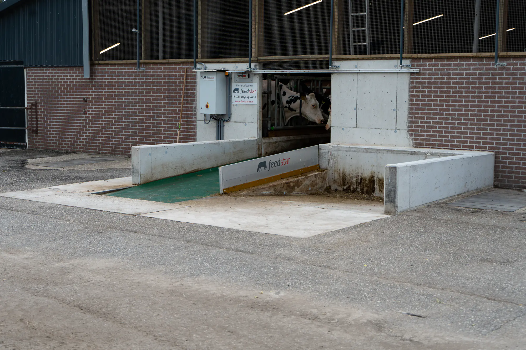 Feedstar voerband die de stal van MTS Van der Steege in loopt