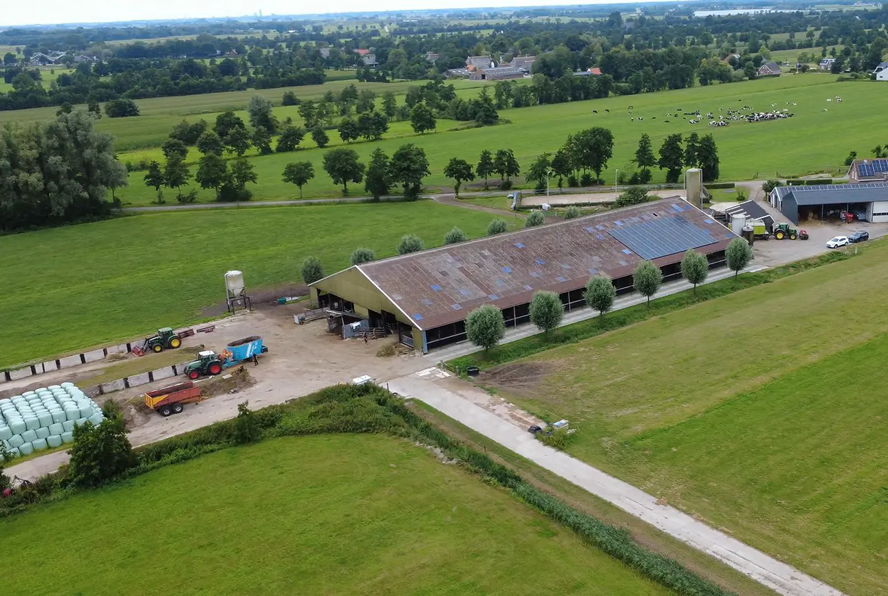 Luchtfoto van de stal van bedrijf Ybema tussen de weilanden