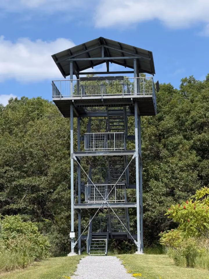 Sager Tower