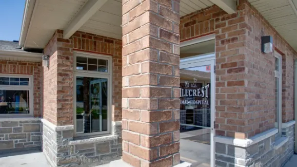 Hillcrest Animal Hospital