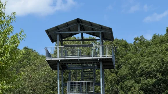 Sager Tower