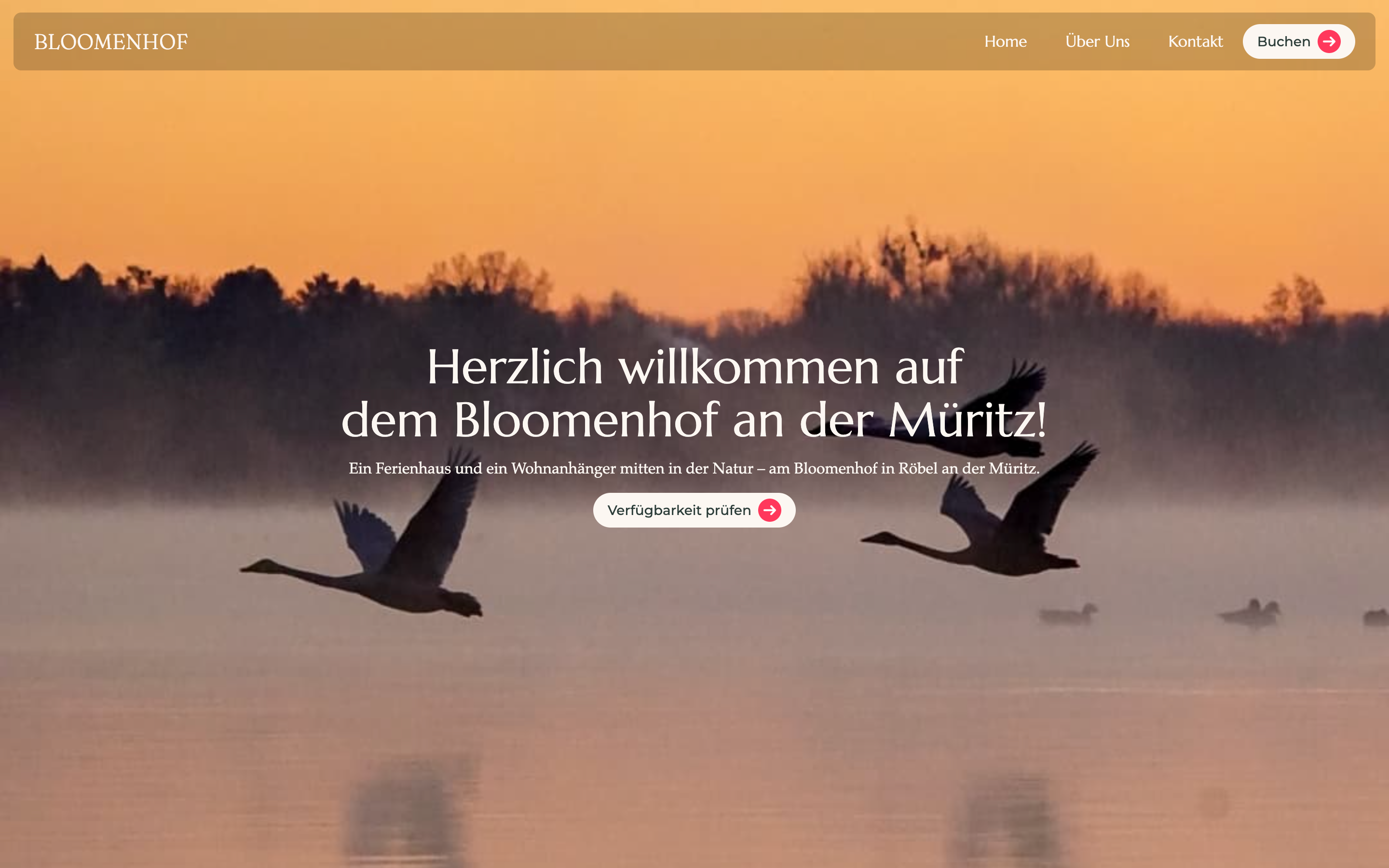 Website von Bloomenhof, mit Webflow umgesetzt von AUDAX