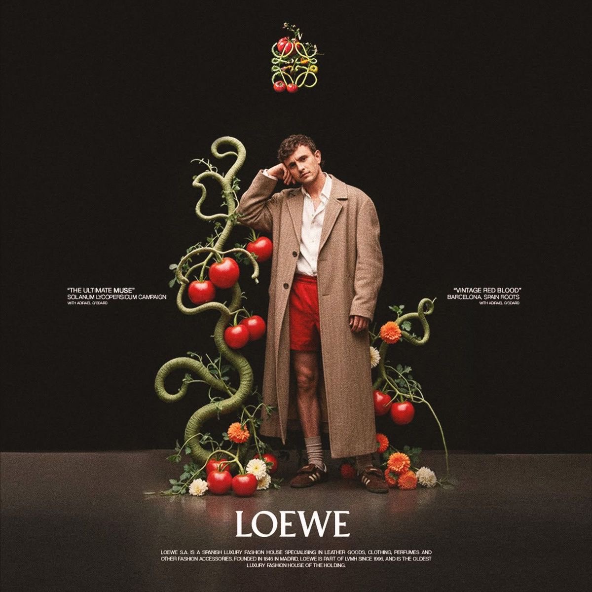 Loewe project