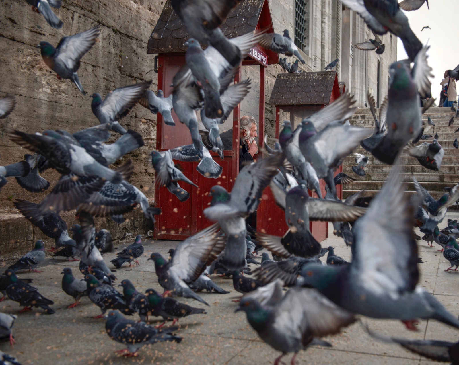 A flock of pigeons taking off in front of a man sitting in a red kiosk