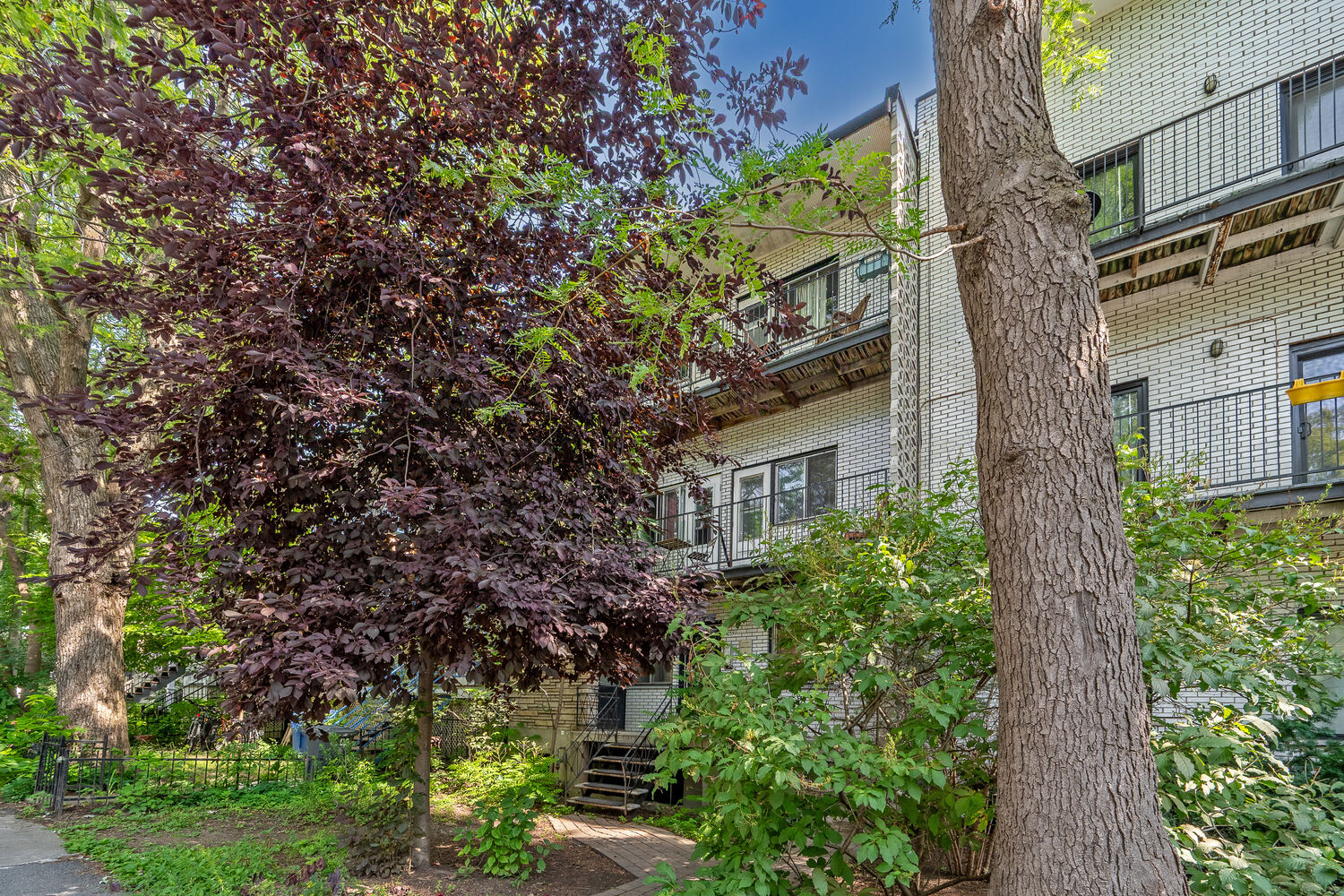 4259 avenue De Lorimier — cour arborée
