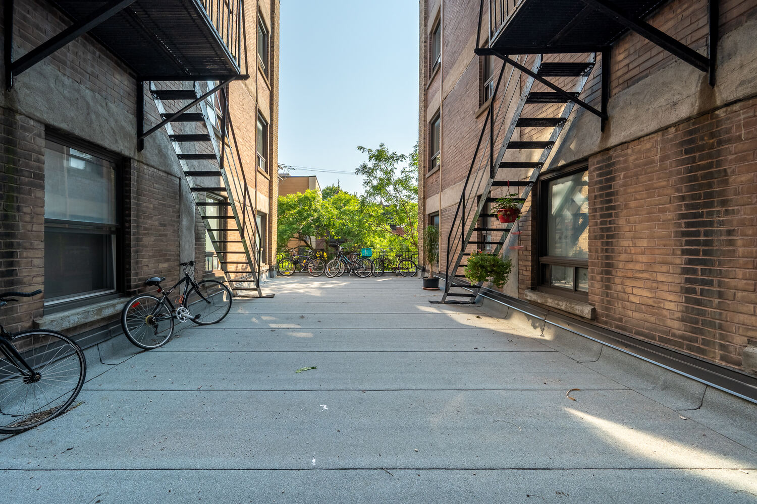 4215–4229 rue de la Roche — cour arrière