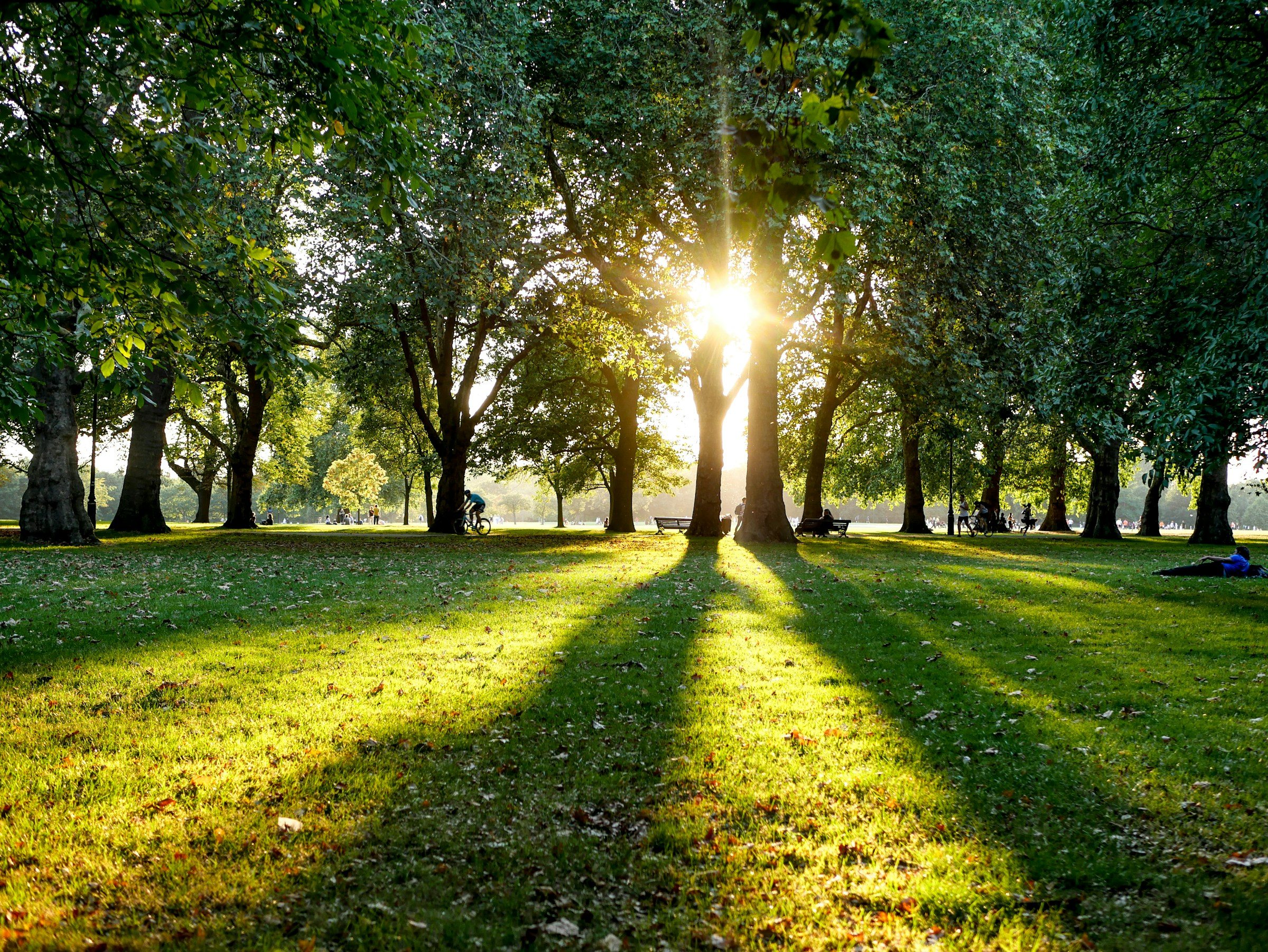 The Serpentine and lawns in Hyde Park