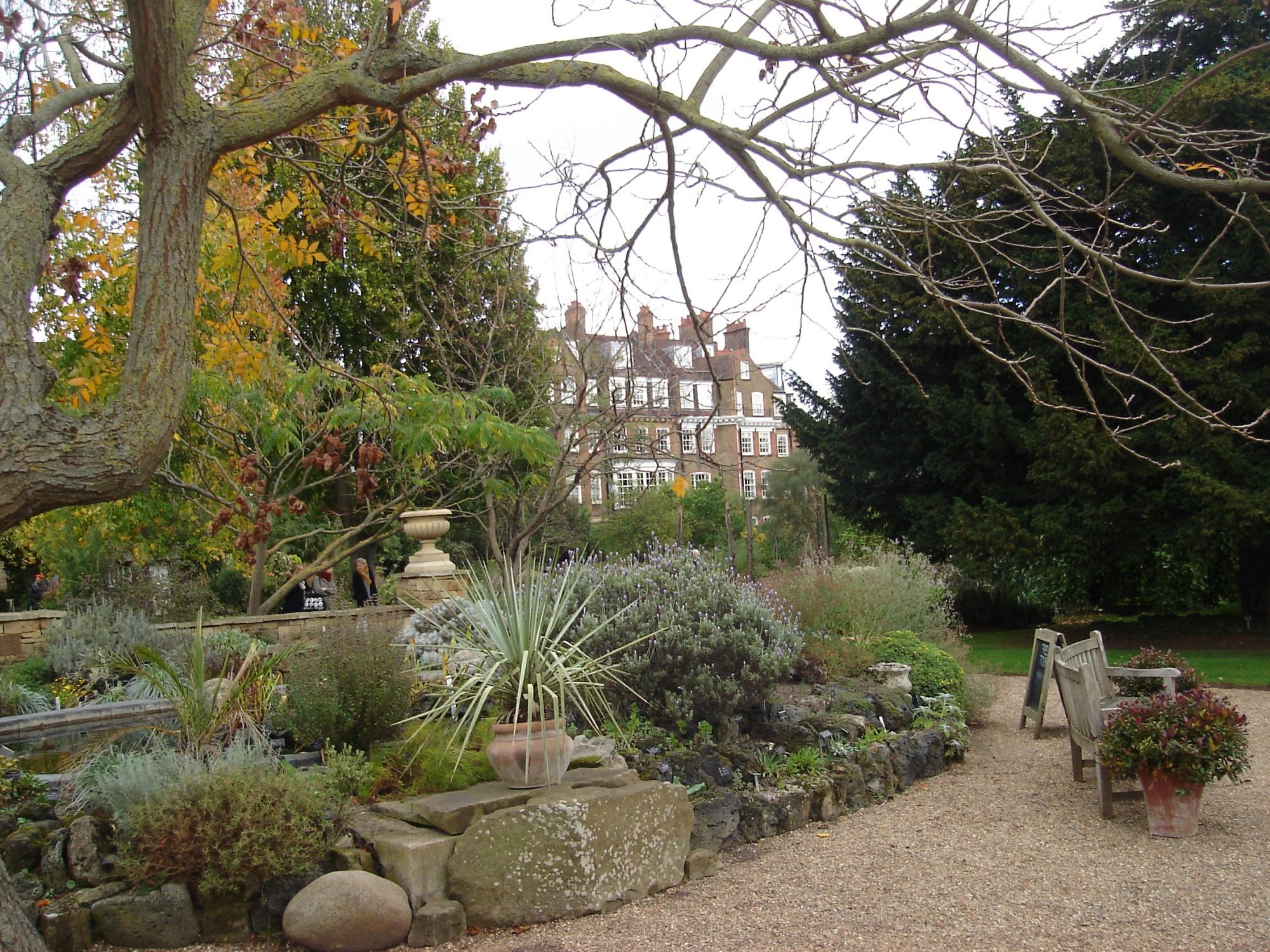 Planting inside the Chelsea Physic Garden