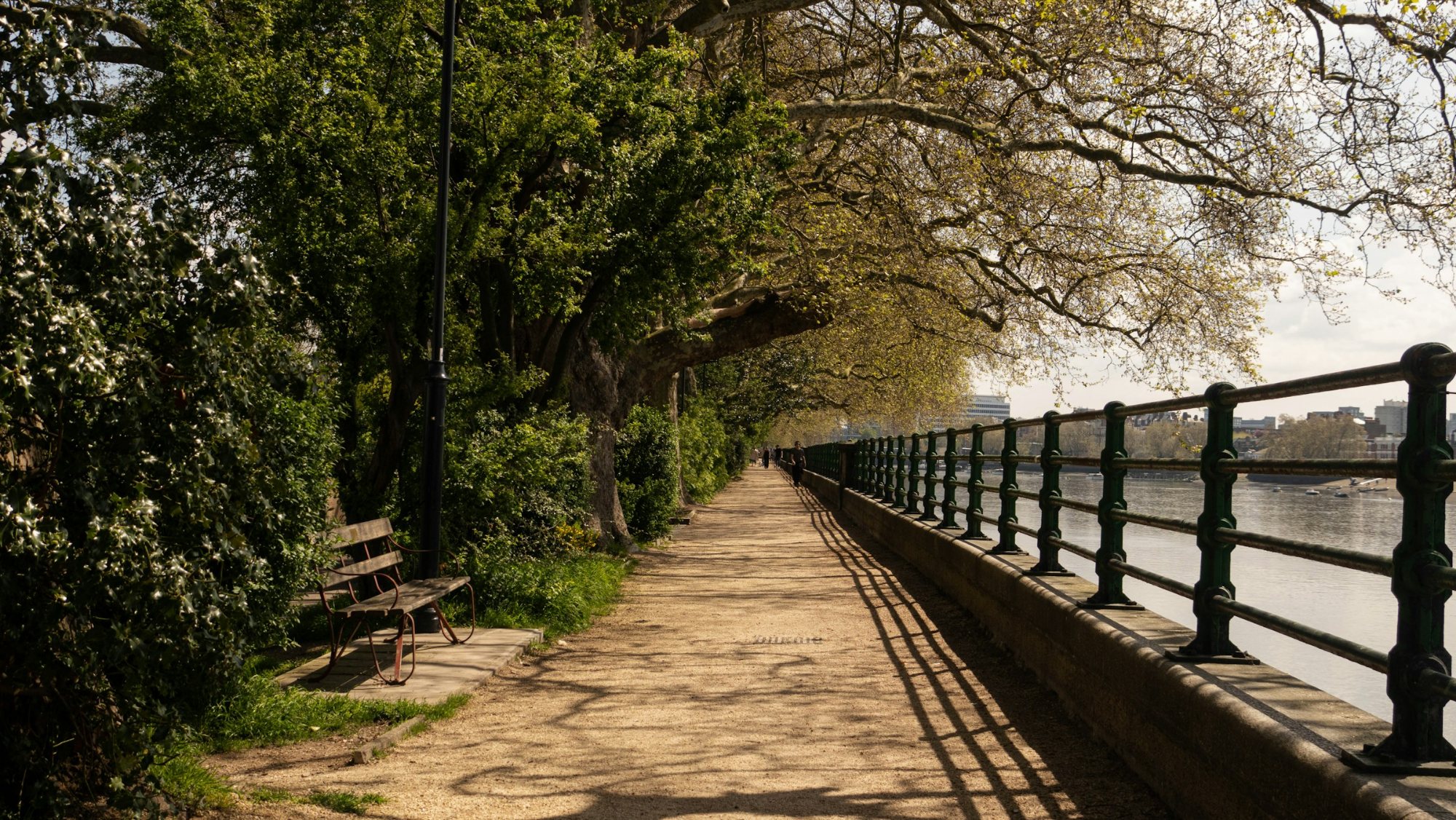 Tree-lined riverside walk beside the Thames