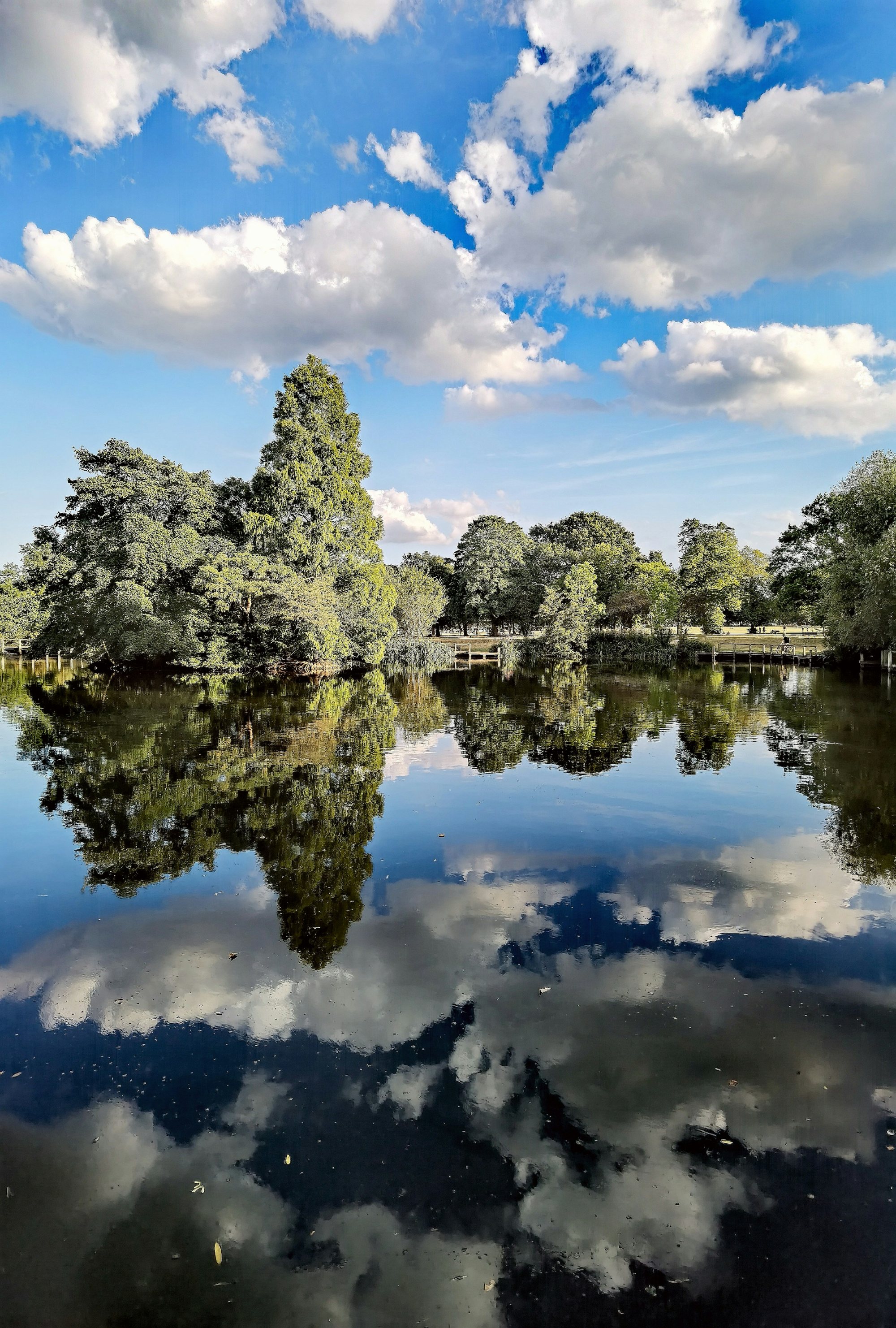 Trees and open grass on Wandsworth Common