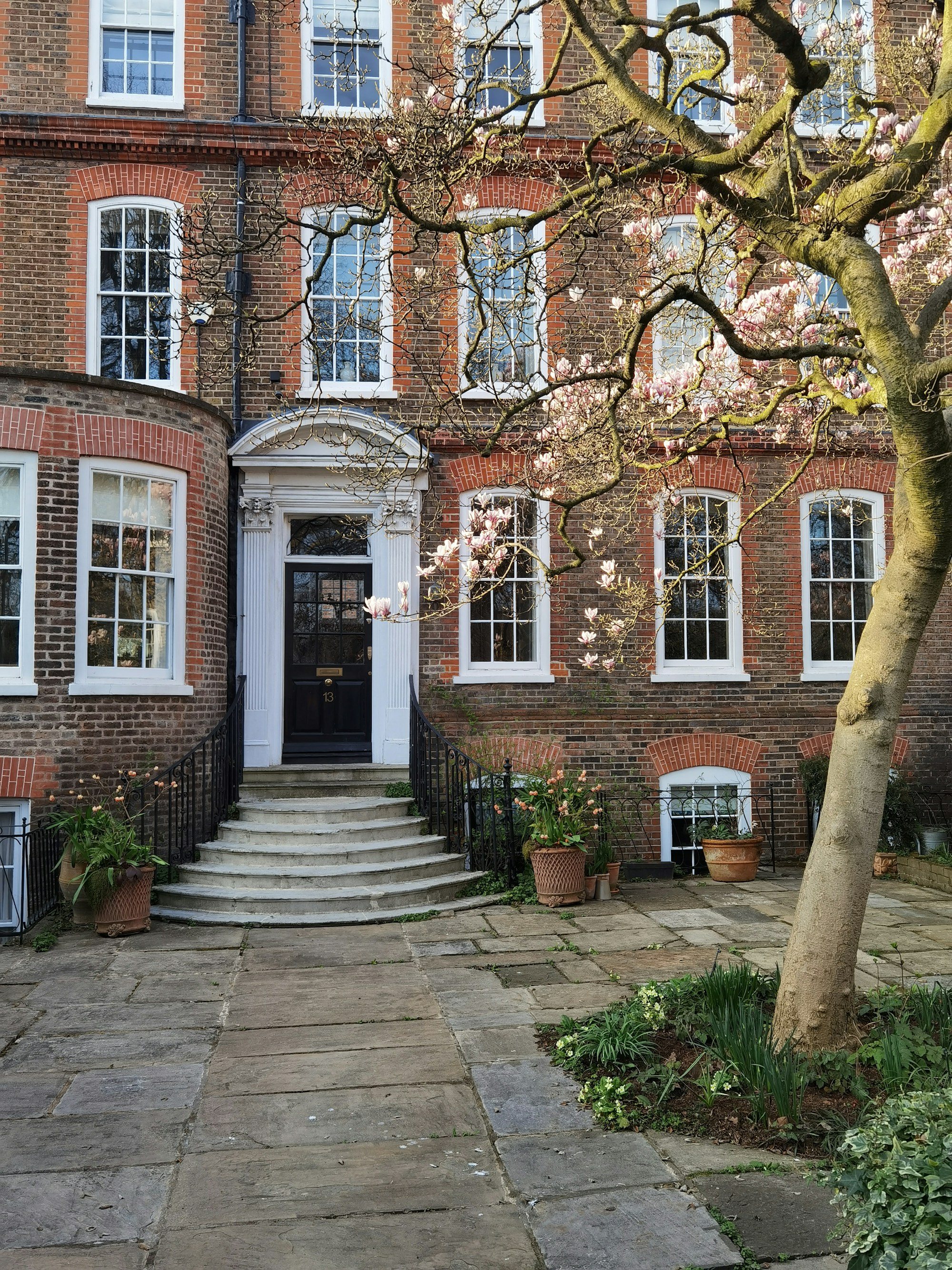 Georgian brick houses with a blossom tree in Clapham