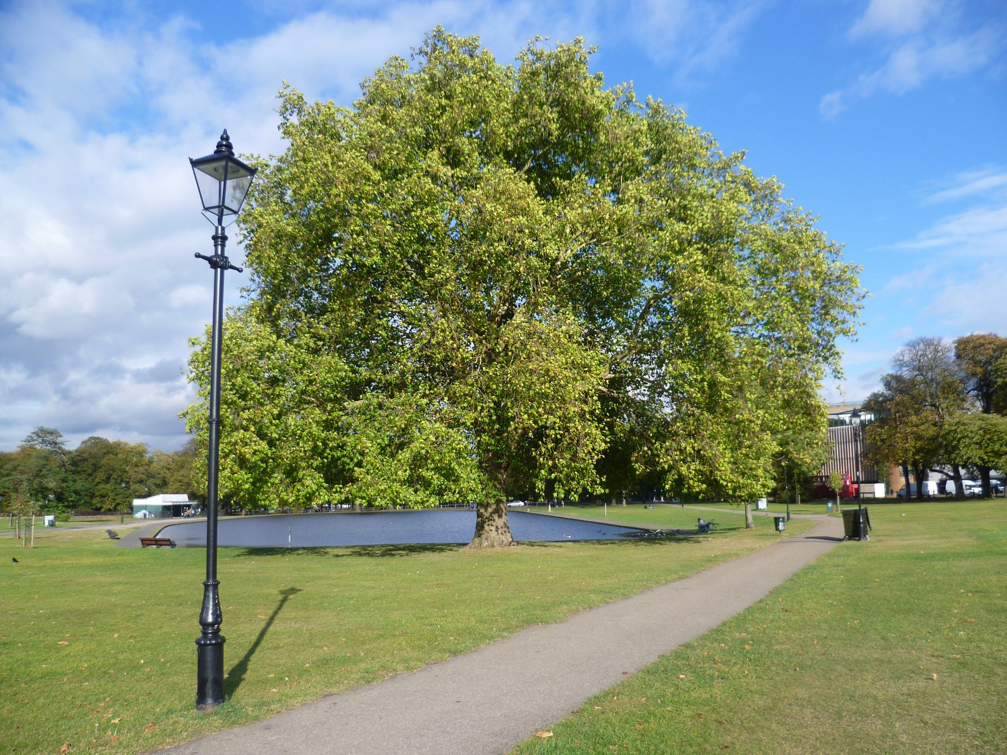 Long Pond on Clapham Common