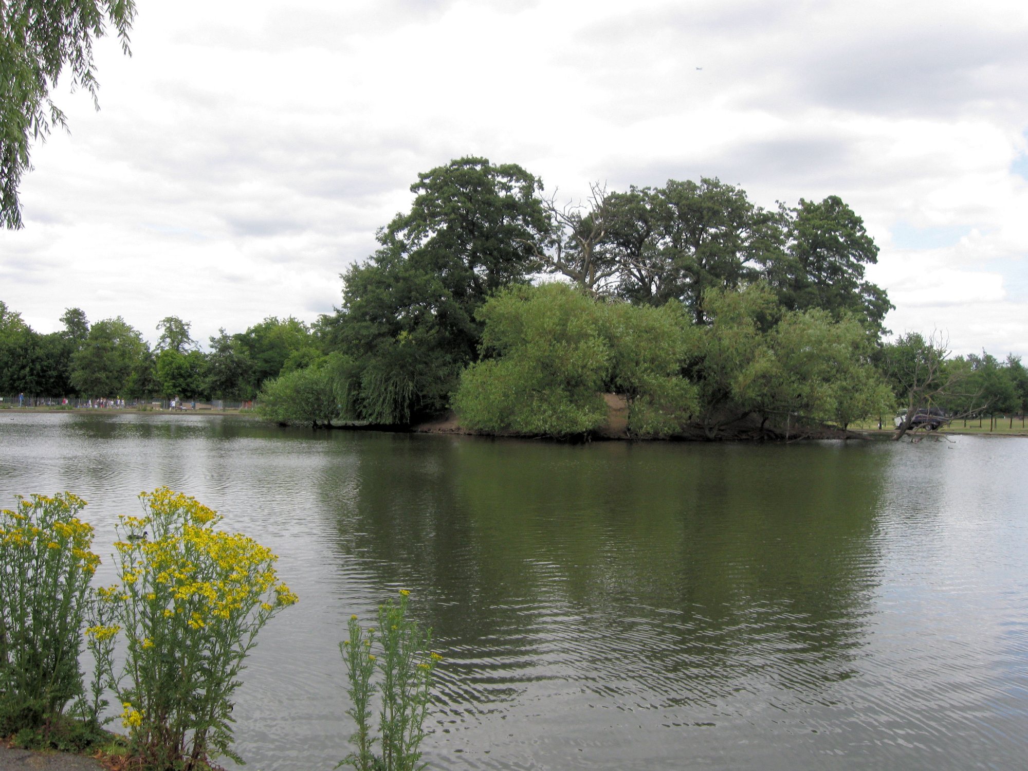 Mount Pond on Clapham Common